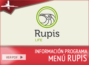 Programa Rupis
