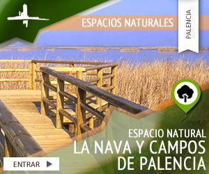 Espacio Natural de La Nava y Campos de Palencia