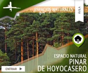 Espacio Natural 'Pinar de Hoyocasero'