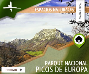 Parque Nacional ‘Picos de Europa’