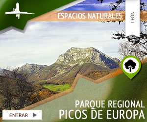 Parque Regional ‘Picos de Europa’