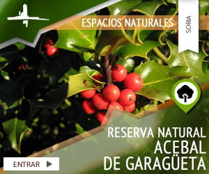 Reserva Natural 'Acebal de Garagüeta'