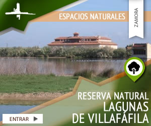 Reserva Natural 'Lagunas de Villafáfila'