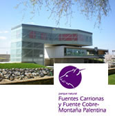 Casa del Cangrejo de río