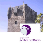 Casa del Parque de Arribes del Duero 'El Torreón de Sobradillo'