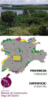 Reserva natural Riberas de Castronuño-Vega del Duero